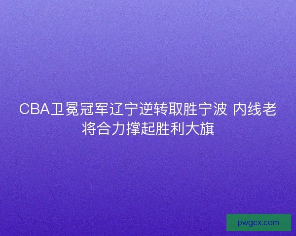 CBA卫冕冠军辽宁逆转取胜宁波 内线老将合力撑起胜利大旗
